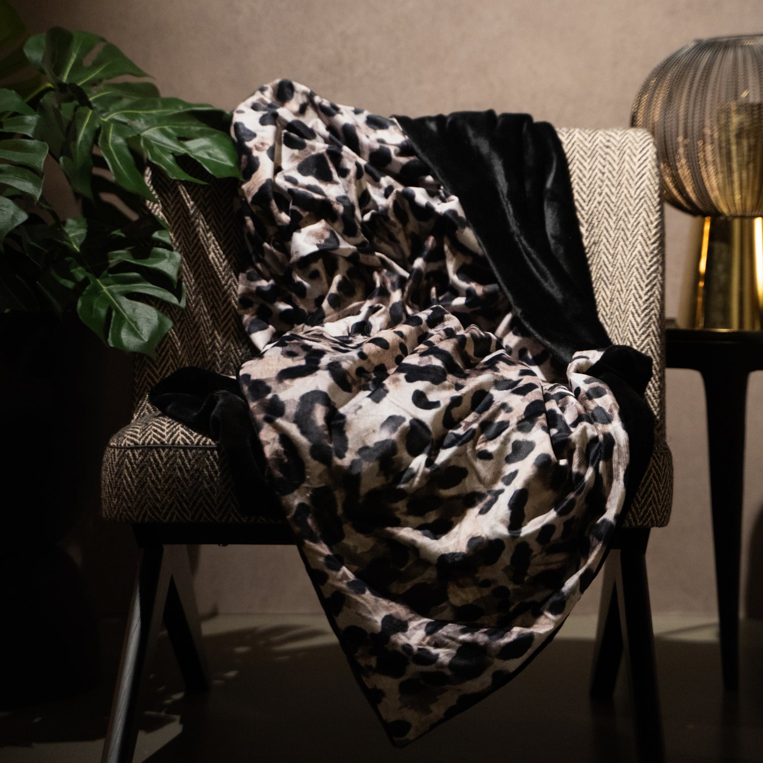 Melli Mello Most Wanted Plaid