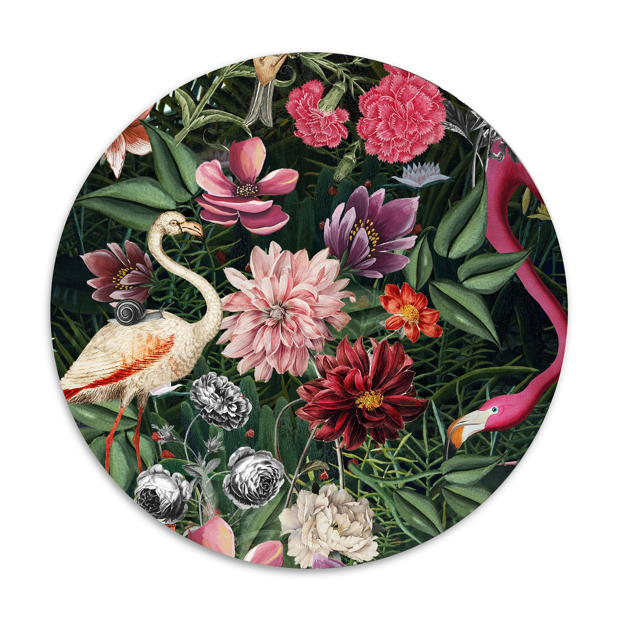 Melli Mello Wall Circle Bold Jungle