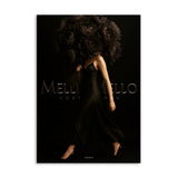 Melli Mello Rollin' Through New York wall art